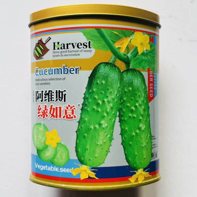 绿如意黄瓜品种种子水果型品种种子