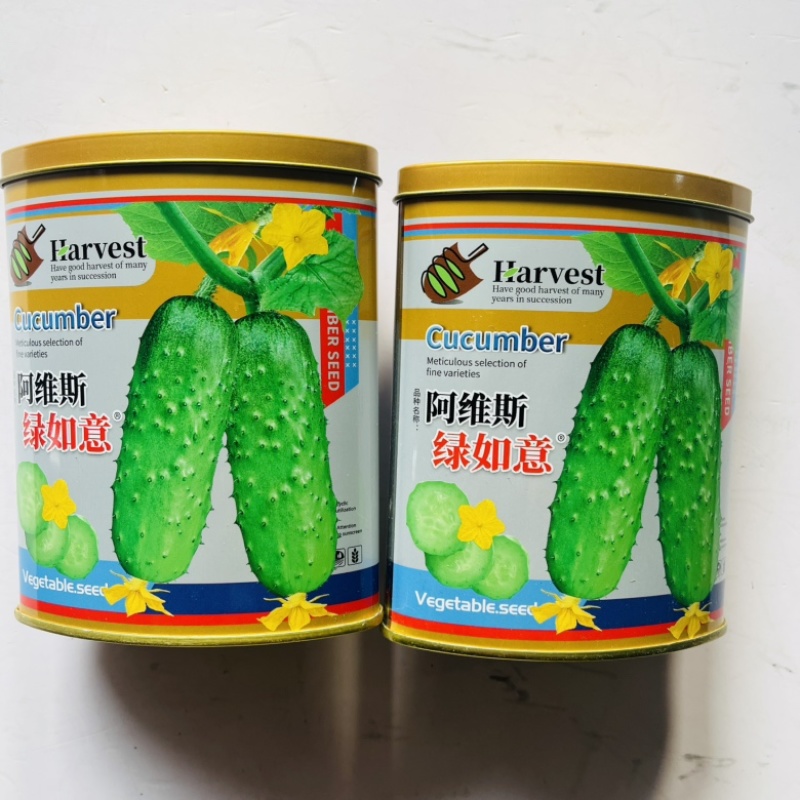 绿如意黄瓜品种种子水果型品种种子