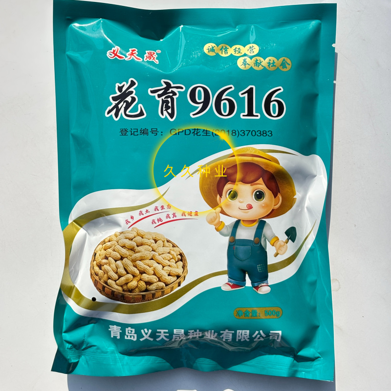义天晟花育9616中间型花生种子高产大花生新种发货