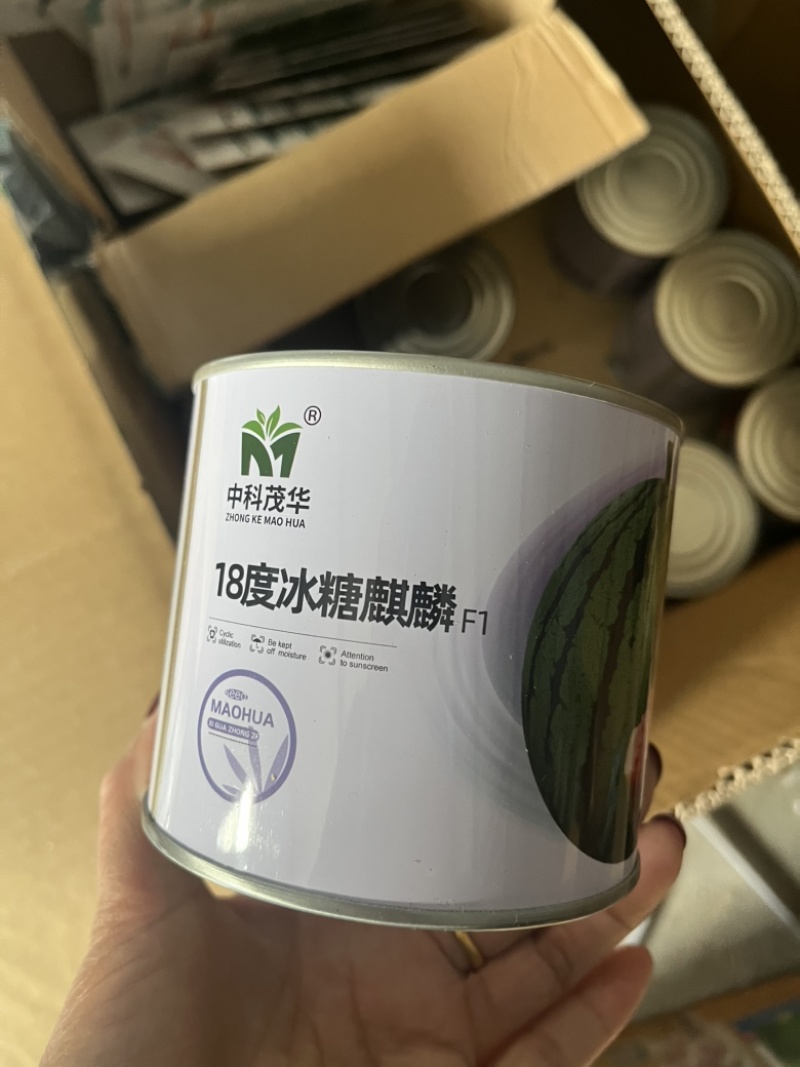 中科茂华18度冰糖麒麟西瓜种子早熟品种种子