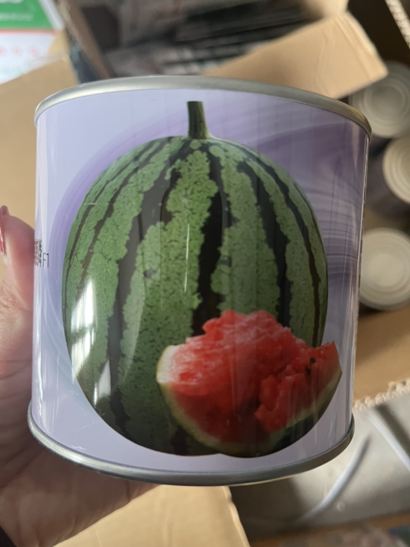 中科茂华18度冰糖麒麟西瓜种子早熟品种种子