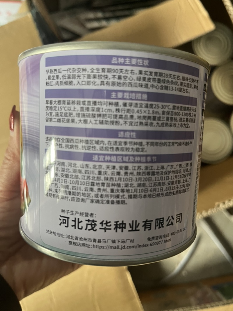 中科茂华18度冰糖麒麟西瓜种子早熟品种种子