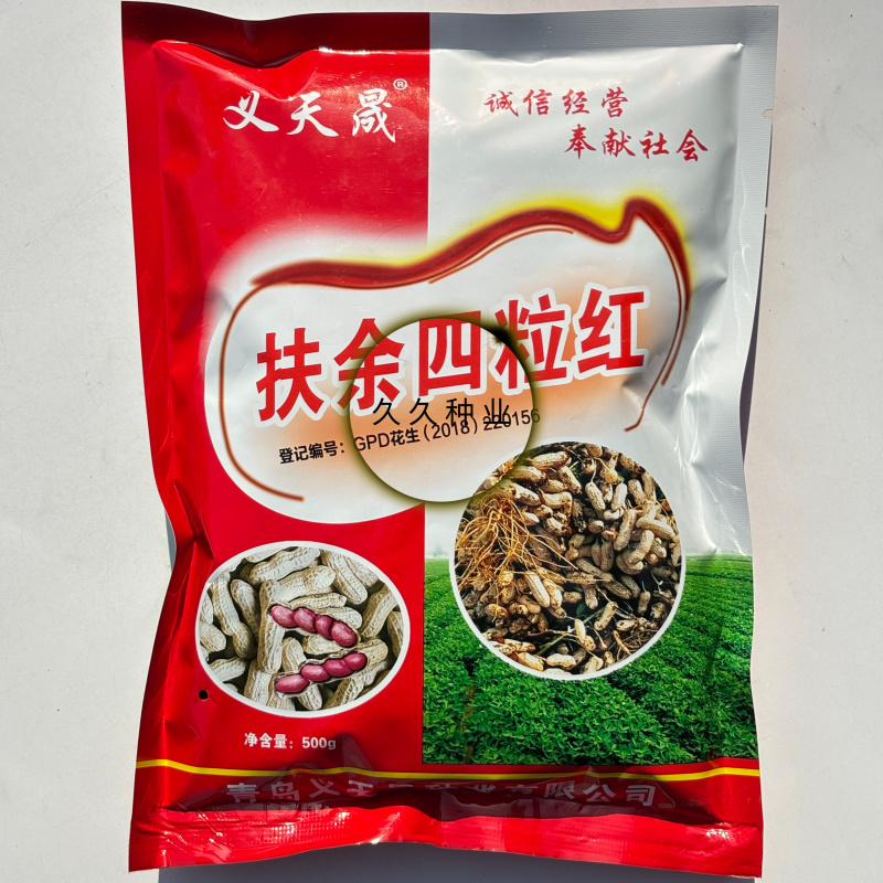 扶余四粒红花生种子大田用种多粒型花生种籽食用鲜食红粒花生