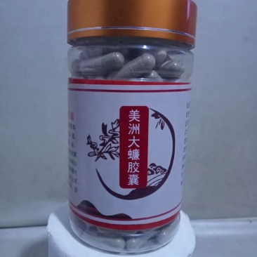 美洲大蠊胶囊每瓶200粒比起精粉更易携带