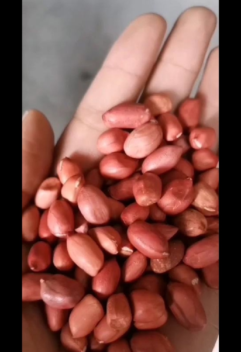 去壳红皮花生米