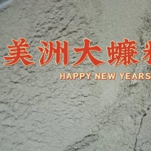 美洲大蠊精粉，超微研磨精粉，脱脂精粉，原粉
