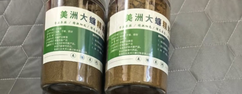 美洲大蠊精粉，超微研磨精粉，脱脂精粉，原粉