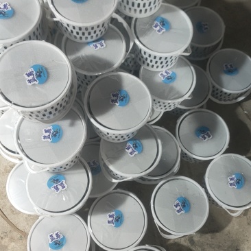云南高原花香蓝莓脆甜多汁美味可口香味十足