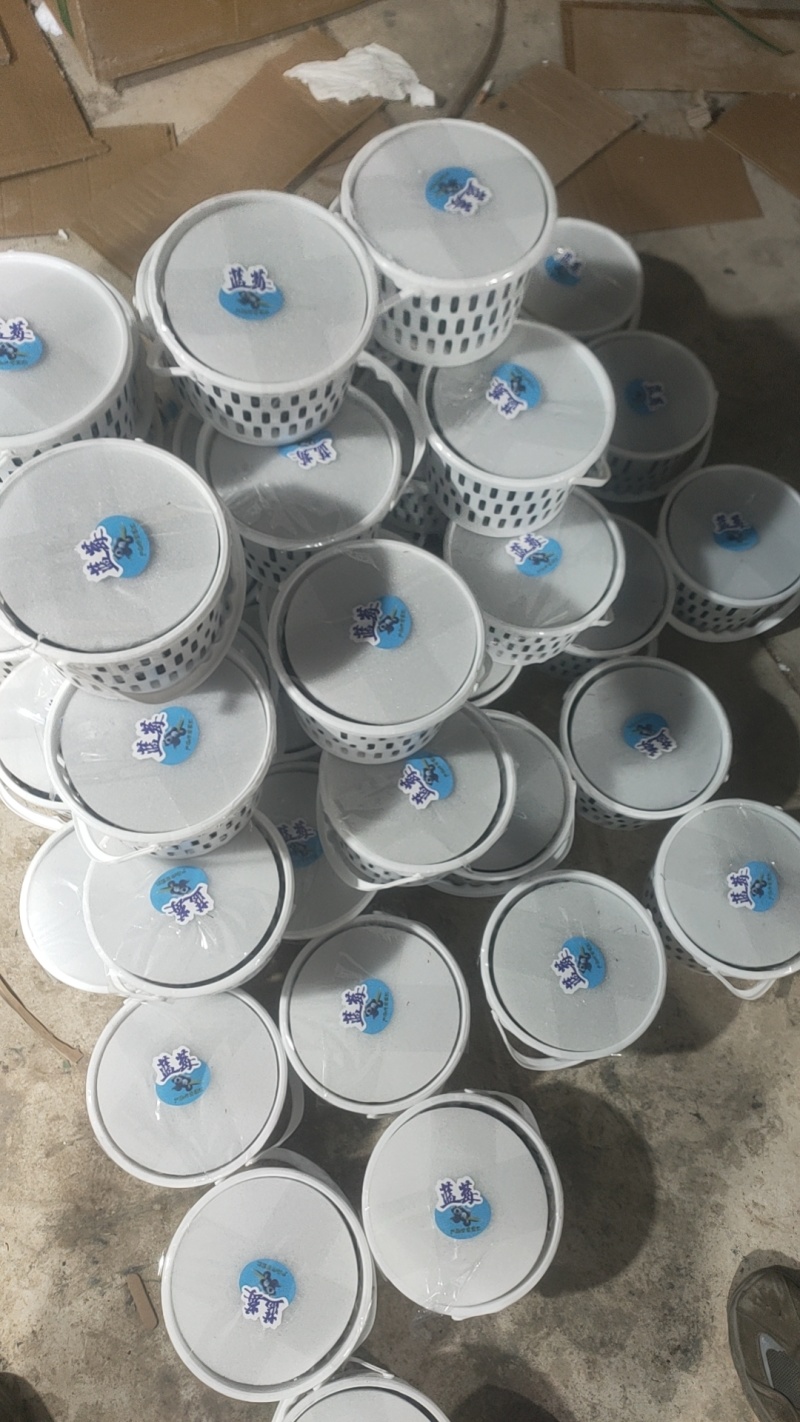 云南高原花香蓝莓脆甜多汁美味可口香味十足