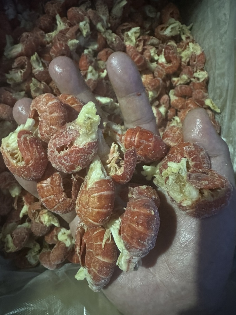 无冰衣龙虾尾特级一级二级三级全规格