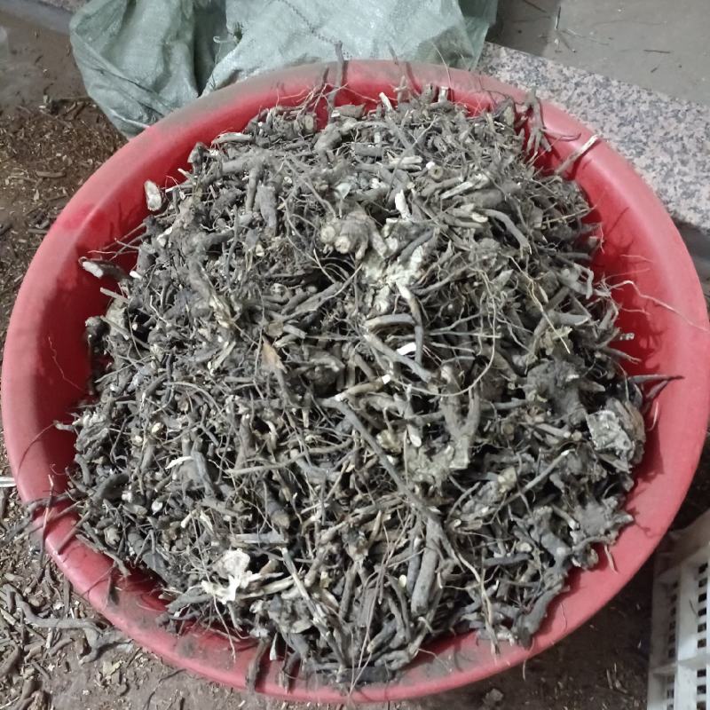 白面风羊耳机铁将军
