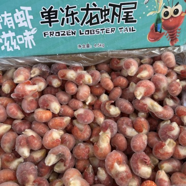 成品壹鲜以渔9斤装一级二级龙虾尾