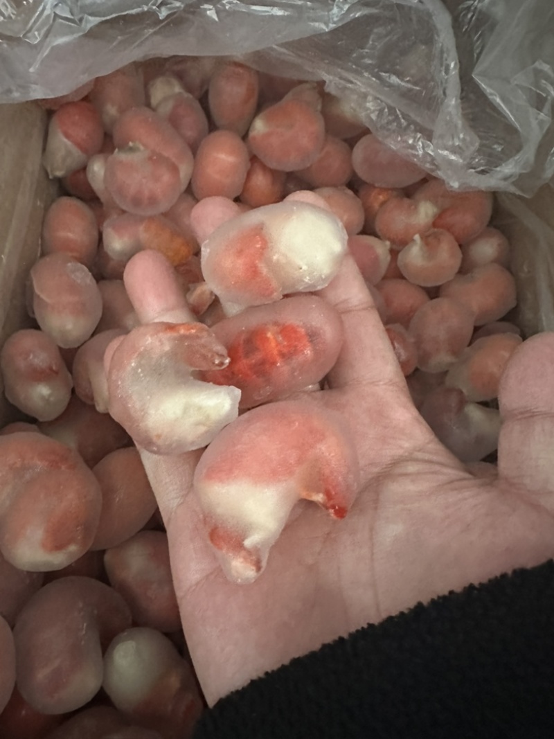 三级成品9斤装龙虾尾