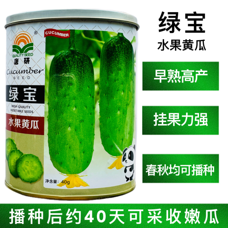 绿宝水果黄瓜种子早熟高产挂满架水果黄瓜种籽青皮绿肉刺瘤少