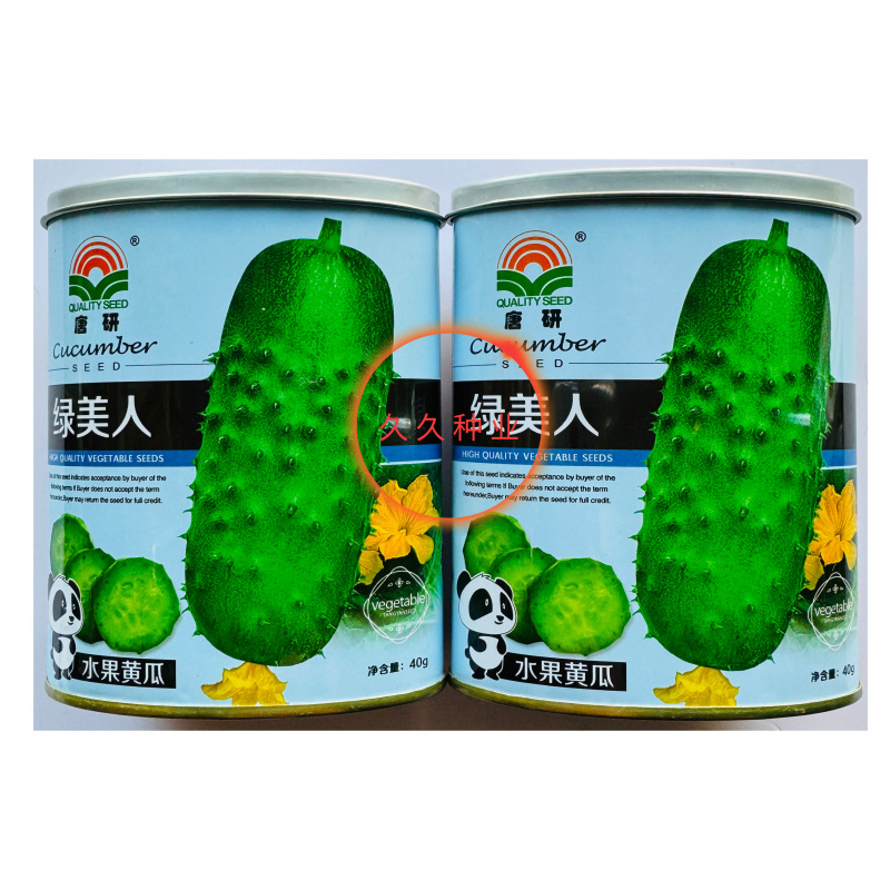 绿美人短棒水果黄瓜种子皮薄瓜把短刺瘤少白刺肉质脆嫩抗病春