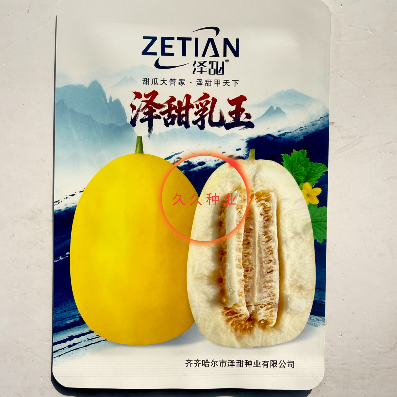 泽甜乳玉甜瓜种子早熟薄皮香脆甜高产黄皮黄金甜瓜种子超甜香