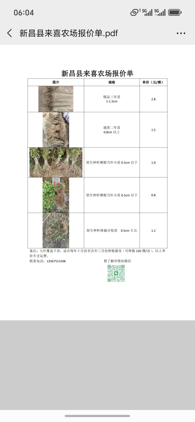 药食同源七叶覆盆子苗适合每年十月份至次年三月份种植
