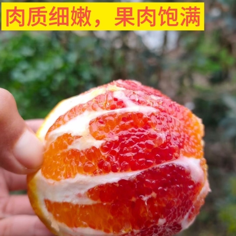 （一件代发）血橙～塔罗科血橙对接各平台抖音视频号快手直播