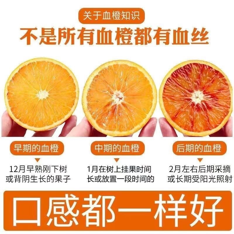（一件代发）血橙～塔罗科血橙对接各平台抖音视频号快手直播