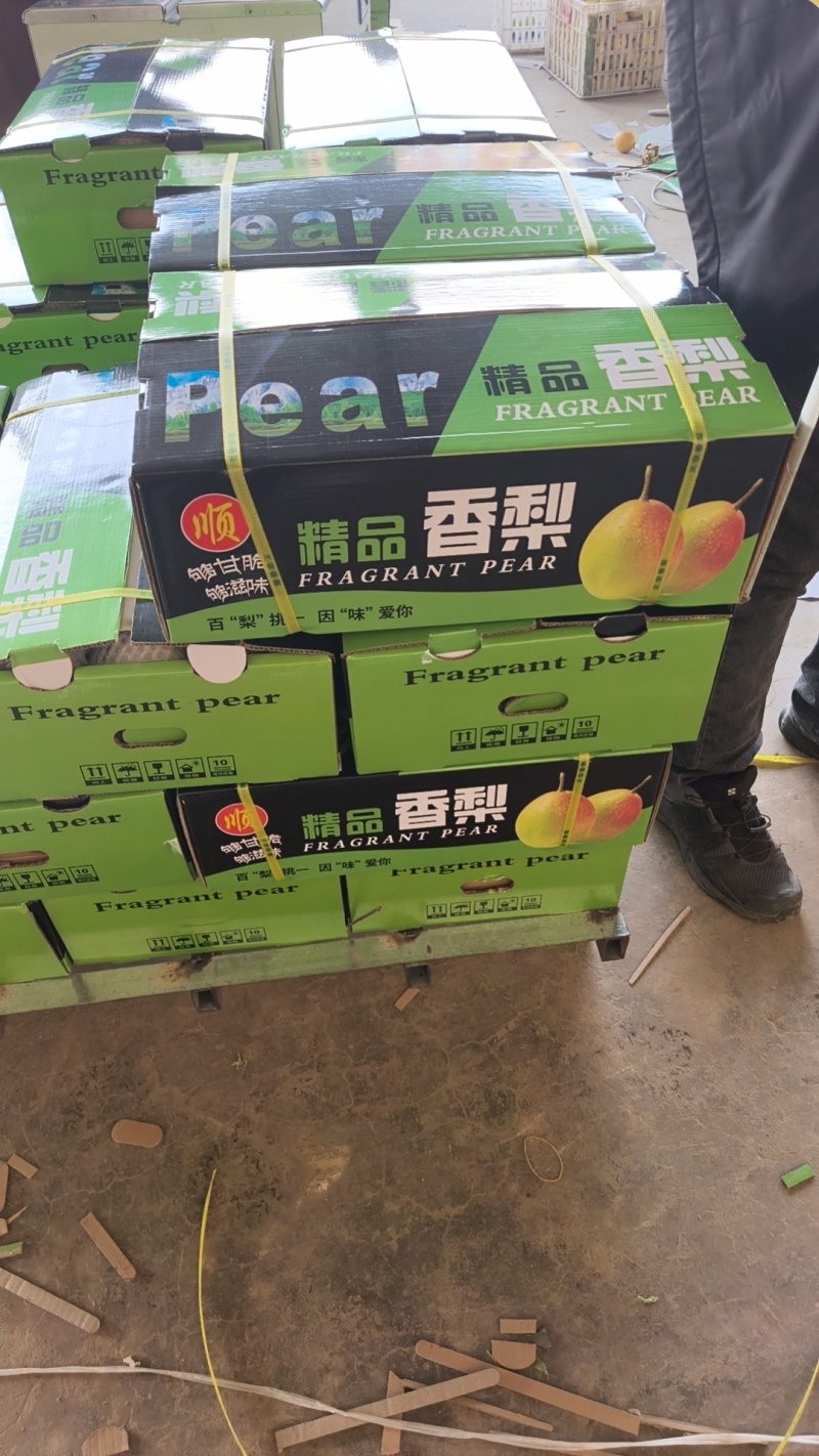 【精品香梨】山西运城香梨龙居红香酥梨大量上市保质保量