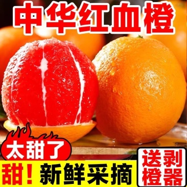 血橙《一件代发》中华血橙对接抖音快手视频号拼多多淘宝直播