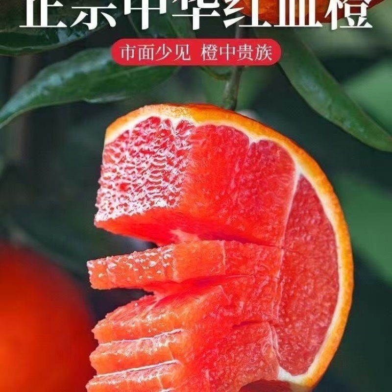 血橙《一件代发》中华血橙对接抖音快手视频号拼多多淘宝直播