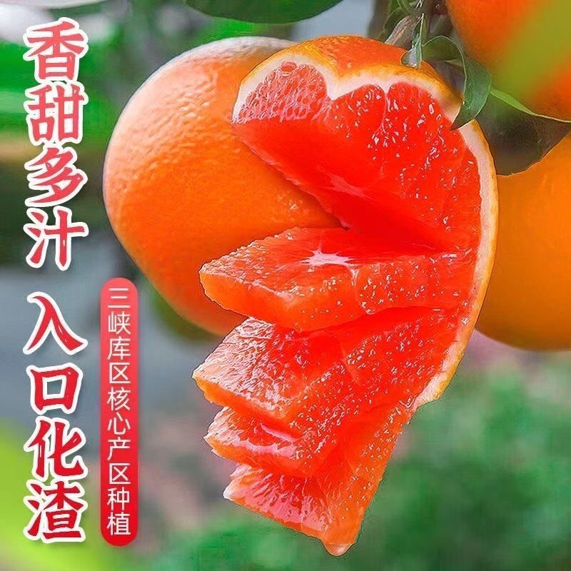 血橙《一件代发》中华血橙对接抖音快手视频号拼多多淘宝直播
