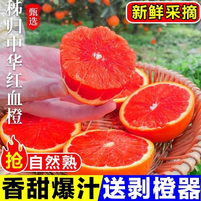 血橙《一件代发》中华血橙对接抖音快手视频号拼多多淘宝直播