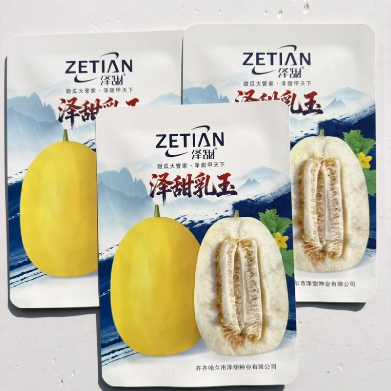 泽甜乳玉黄皮白肉甜瓜种子早熟甜度高