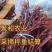 鹿茸菌。