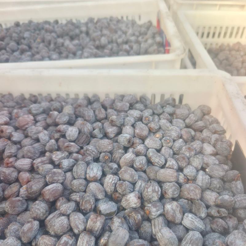 涉县无核黑枣只做精品保质保量