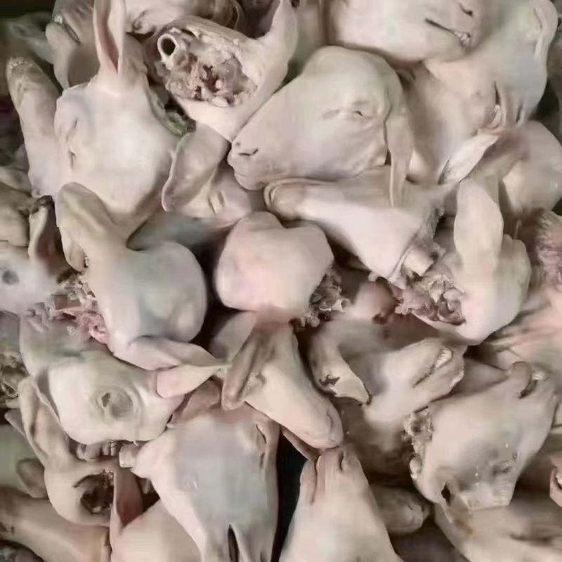 白羊头