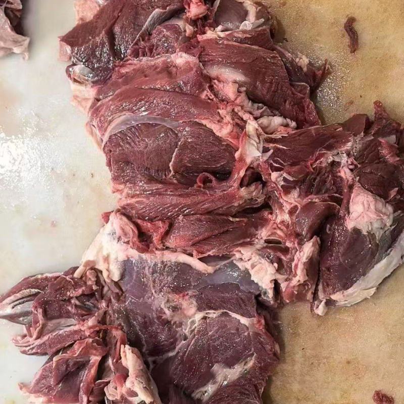 纯干羊板肉50斤一箱20.元一斤都是回头客