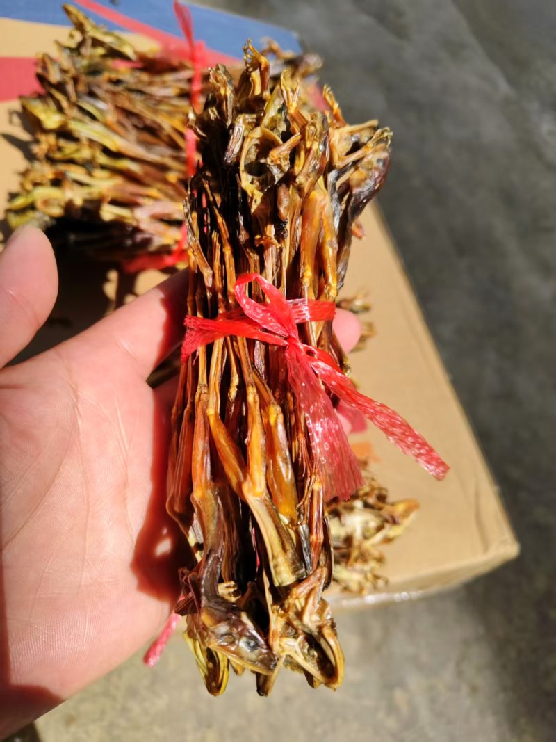 《林蛙干》湖南林蛙/产地直发/保质保量/全国供应批发