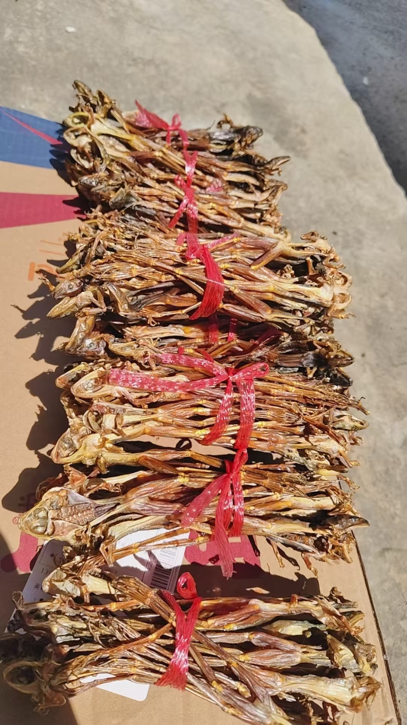 《林蛙干》湖南林蛙/产地直发/保质保量/全国供应批发