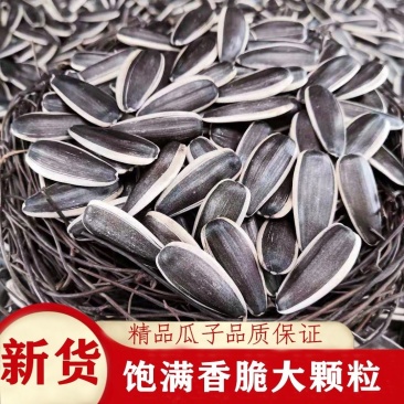 原味五香瓜子内霉少电商代发零食批发摆摊门店全国可发货
