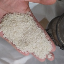 厂家直销，大量现货，大量碎米，颗粒饱满