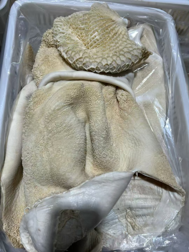 水褪生牛肚带金钱肚660元40斤