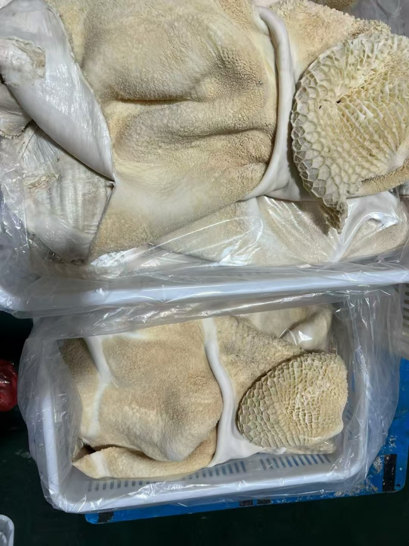 水褪生牛肚带金钱肚660元40斤