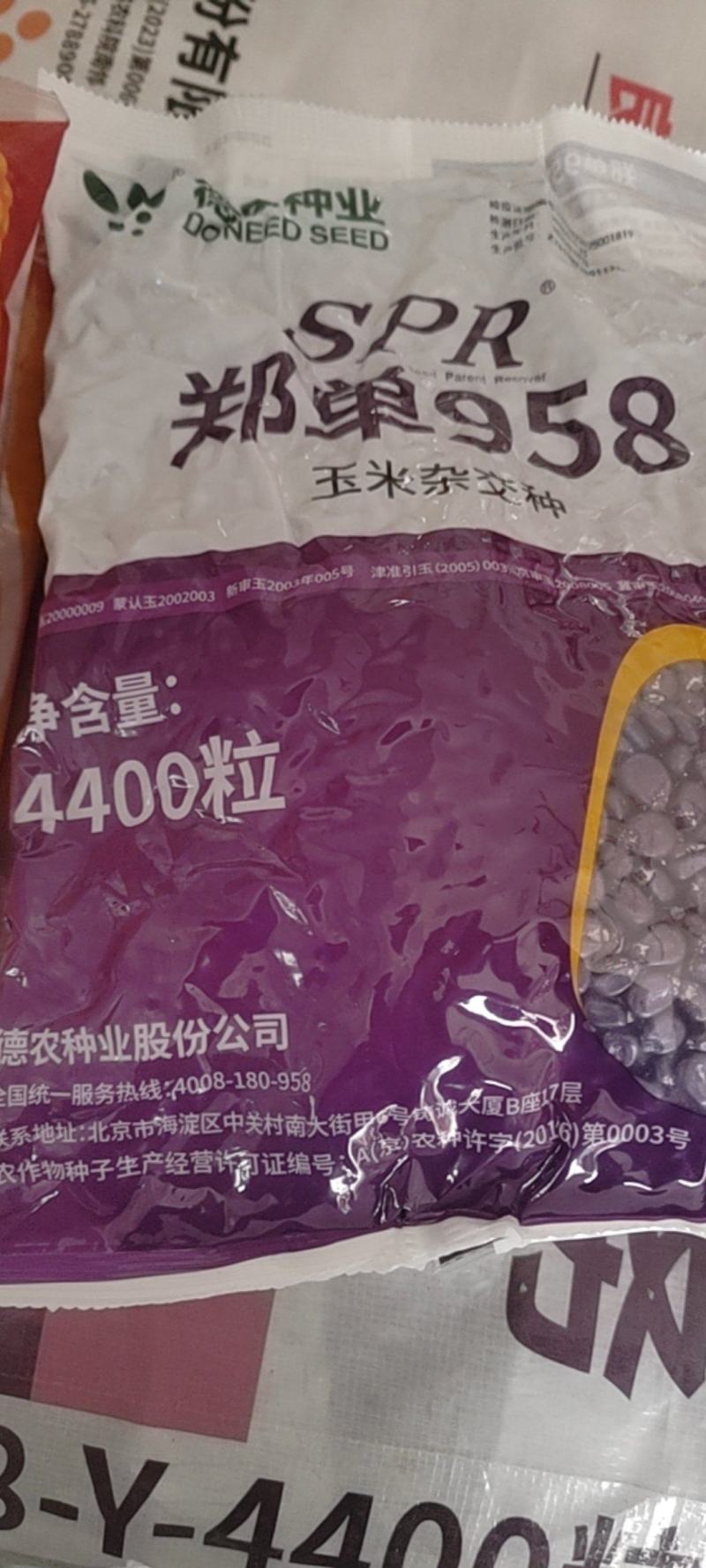 北京德农郑单958SPR升级版大田大户4400粒/袋国审