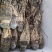 干冰冷冻小青龙B级品质