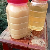 湖南省郴州市五A景区东江湖水源地深山蜂蜜，采大自然百花蜜