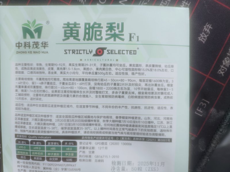 黄脆梨早熟含糖高单瓜500克亩产2400公斤皮薄易管理