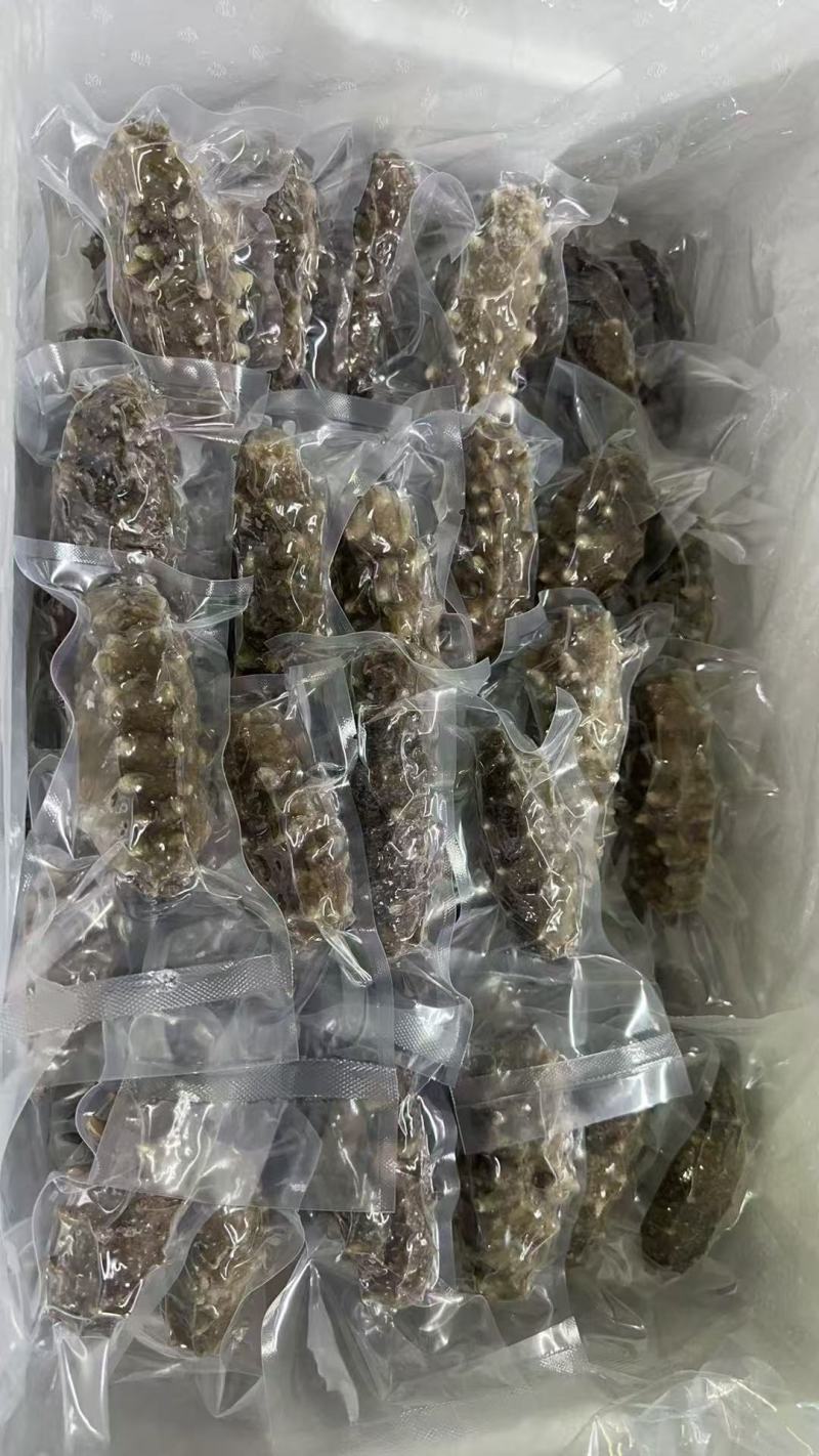 辽参