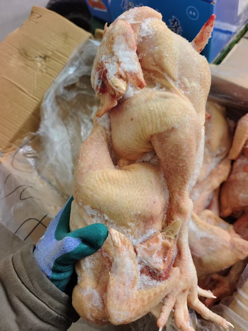 小公鸡，6.5一斤，有需要的老板联系我