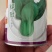 绿冠青梗菜种子耐热耐湿抗病高产上海青菜种籽农家春夏秋季播