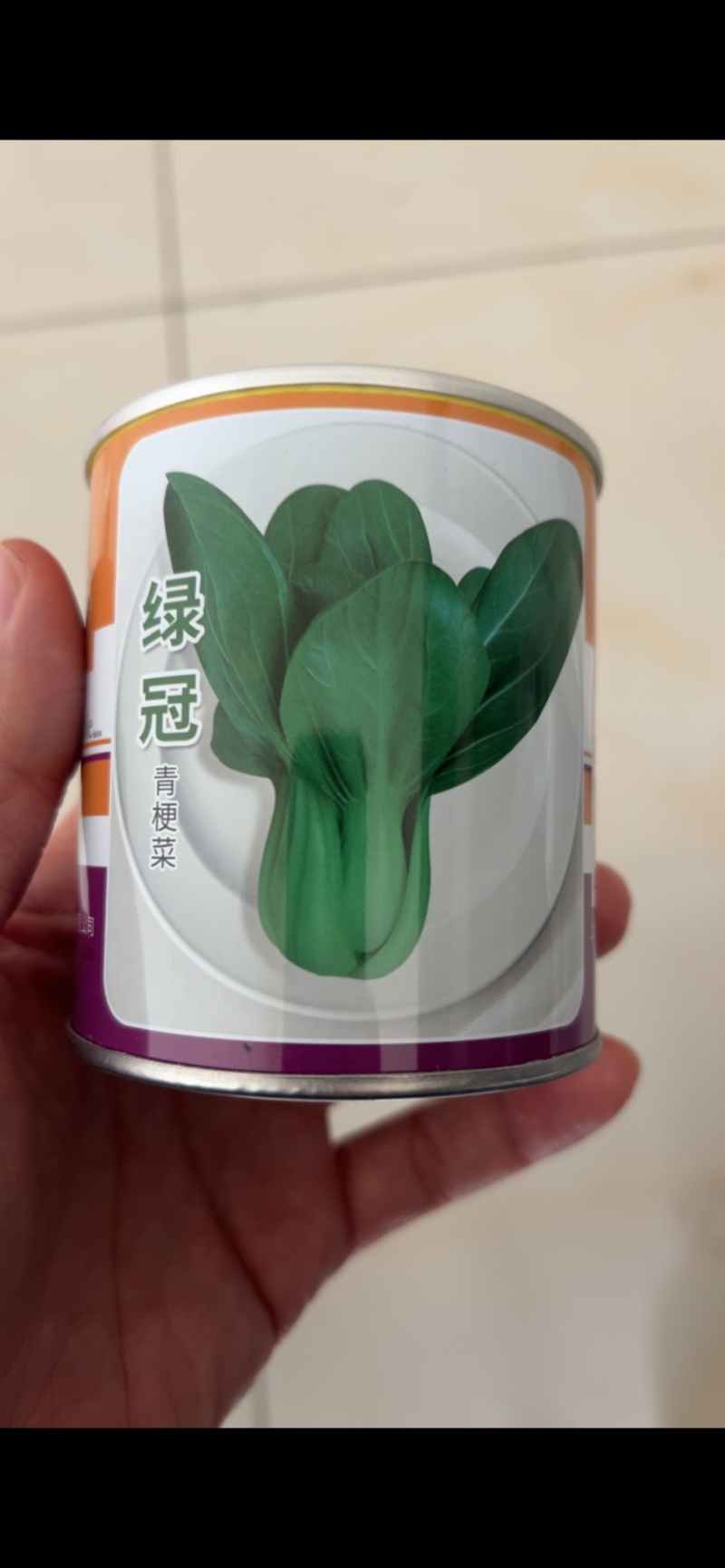 绿冠青梗菜种子耐热耐湿抗病高产上海青菜种籽农家春夏秋季播