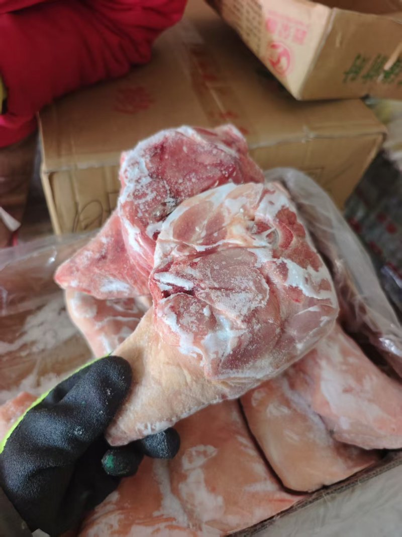 前肘