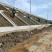 紫穗槐苗、刺槐及杯苗基地直发，规格齐全，包种包活，一站式