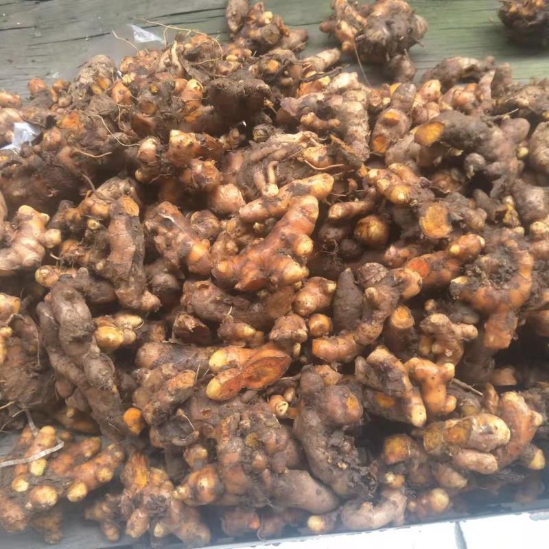 正宗麻柳场小黄姜，纯度高的很，算是驰名品牌，货源十分充足